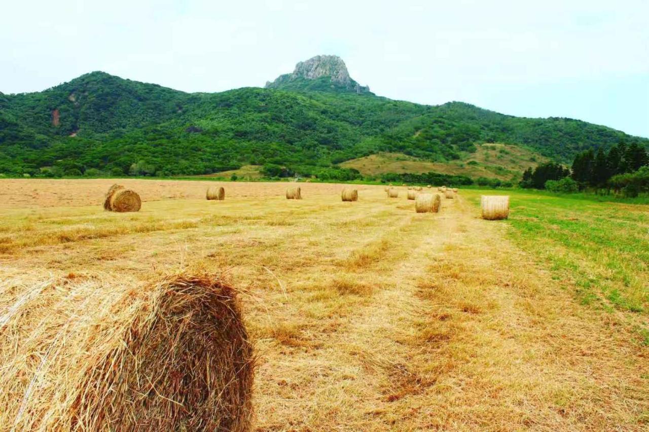 Kenting Garden Homestay Zewnętrze zdjęcie